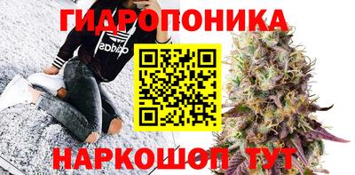 соль ск Можга