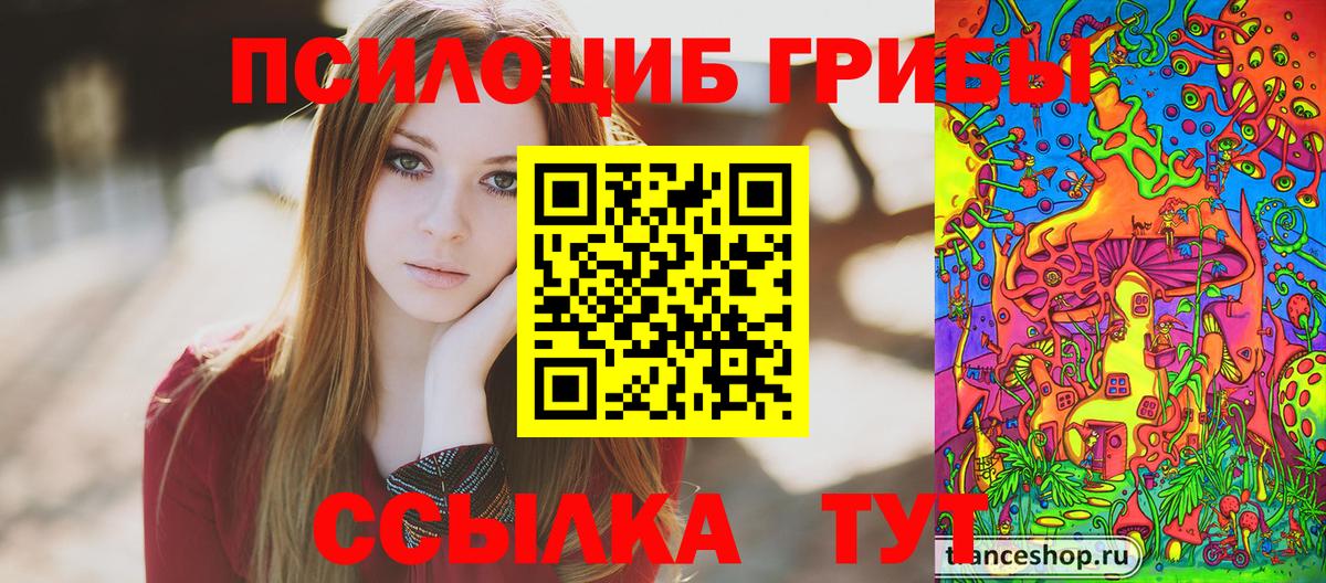 Череповец  Псилоцибиновые грибы Psilocybine cubensis  Вход с VPN 