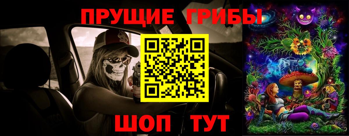 Галлюциногенные грибы Psilocybe Череповец